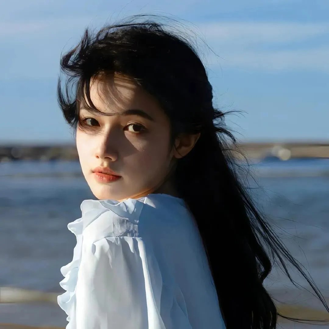 海龟故事