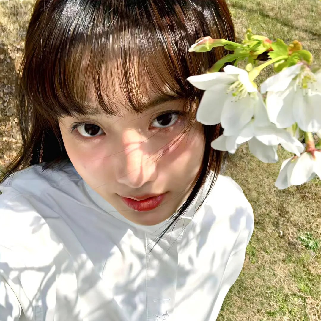 刘少奇的故事